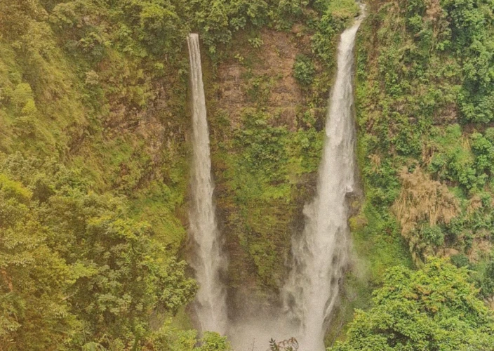 Los 7 tesoros de Laos: una odisea familiar de norte a sur - La meseta de Bolaven y sus plantaciones de café - Foto del día