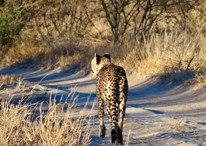 Botswana aus der Luft gesehen - Zurück nach Maun - Tagesfoto