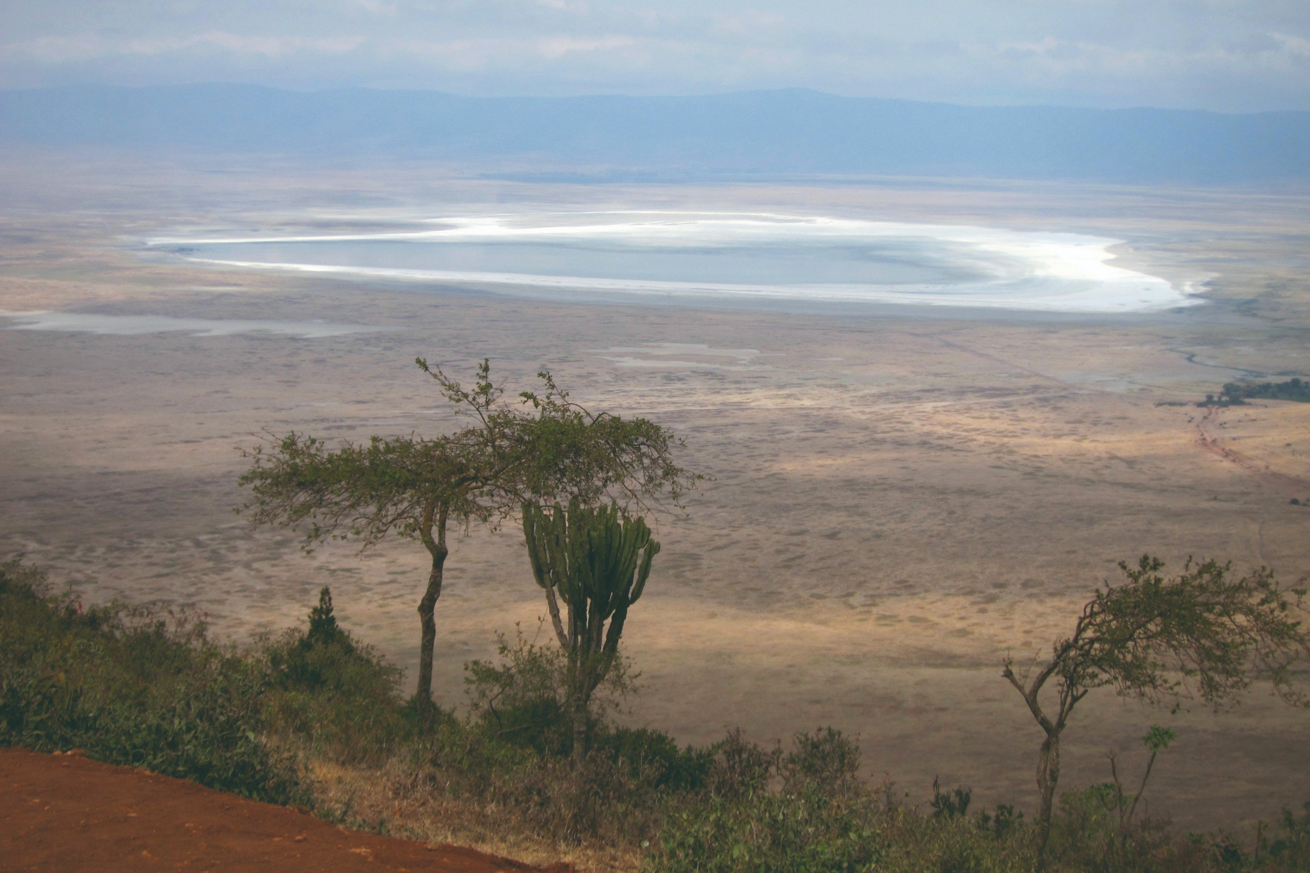 5 días Big 5 Safari Tanzania - Día 4: Parque Nacional del Lago Manyara - Jour 4 : Parc national du lac Manyara