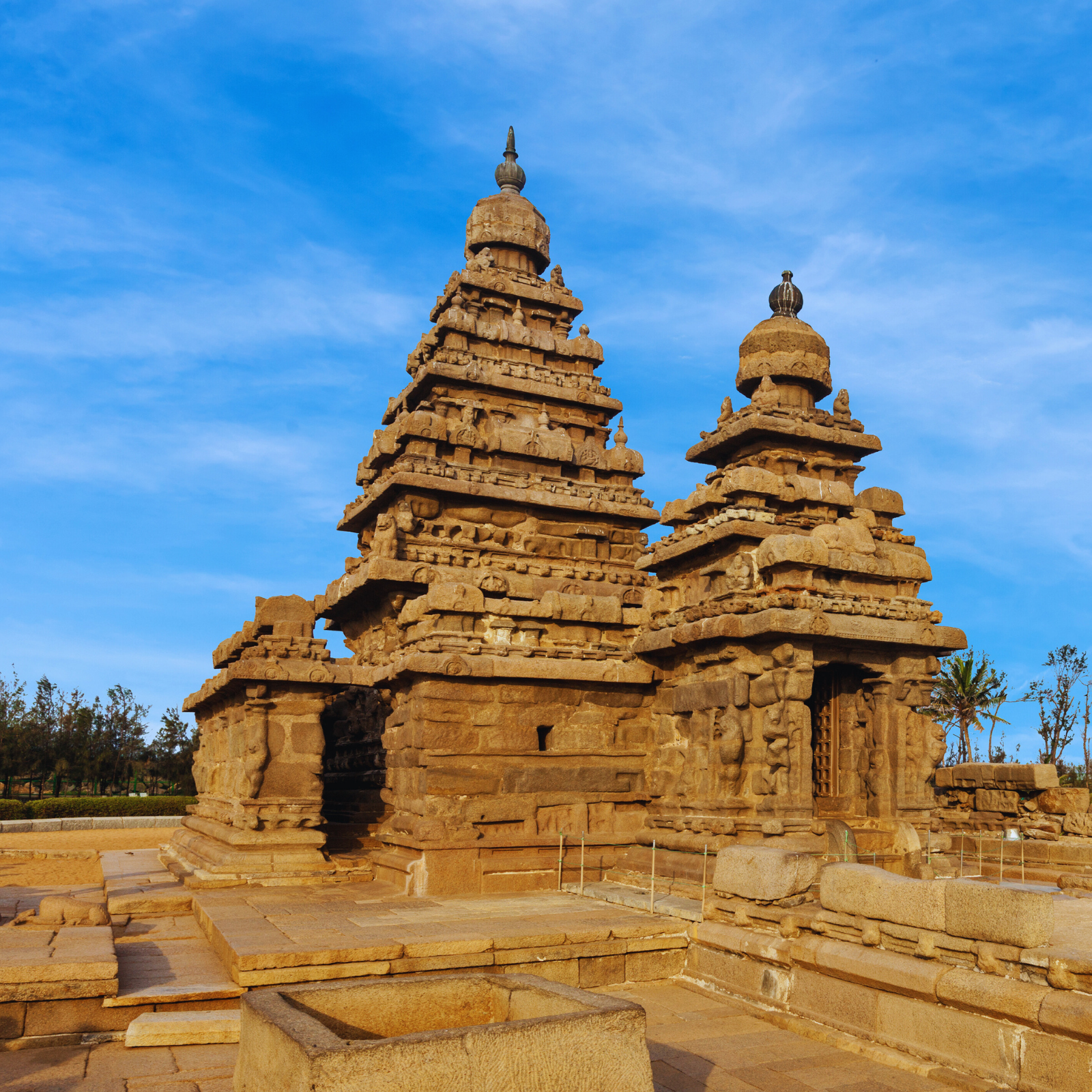 Circuit d'architecture des temples du sud de l'Inde : un voyage guidé, privé et exclusif à travers les sites du patrimoine mondial de l'UNESCO - Prise en charge à Chennai et Temple du Rivage de Mahabalipuram - Photo du jour
