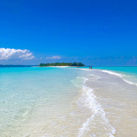 🌴 7-day getaway to Nosy Be