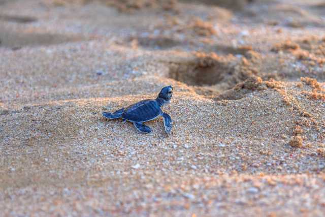 Omã, terra de contrastes