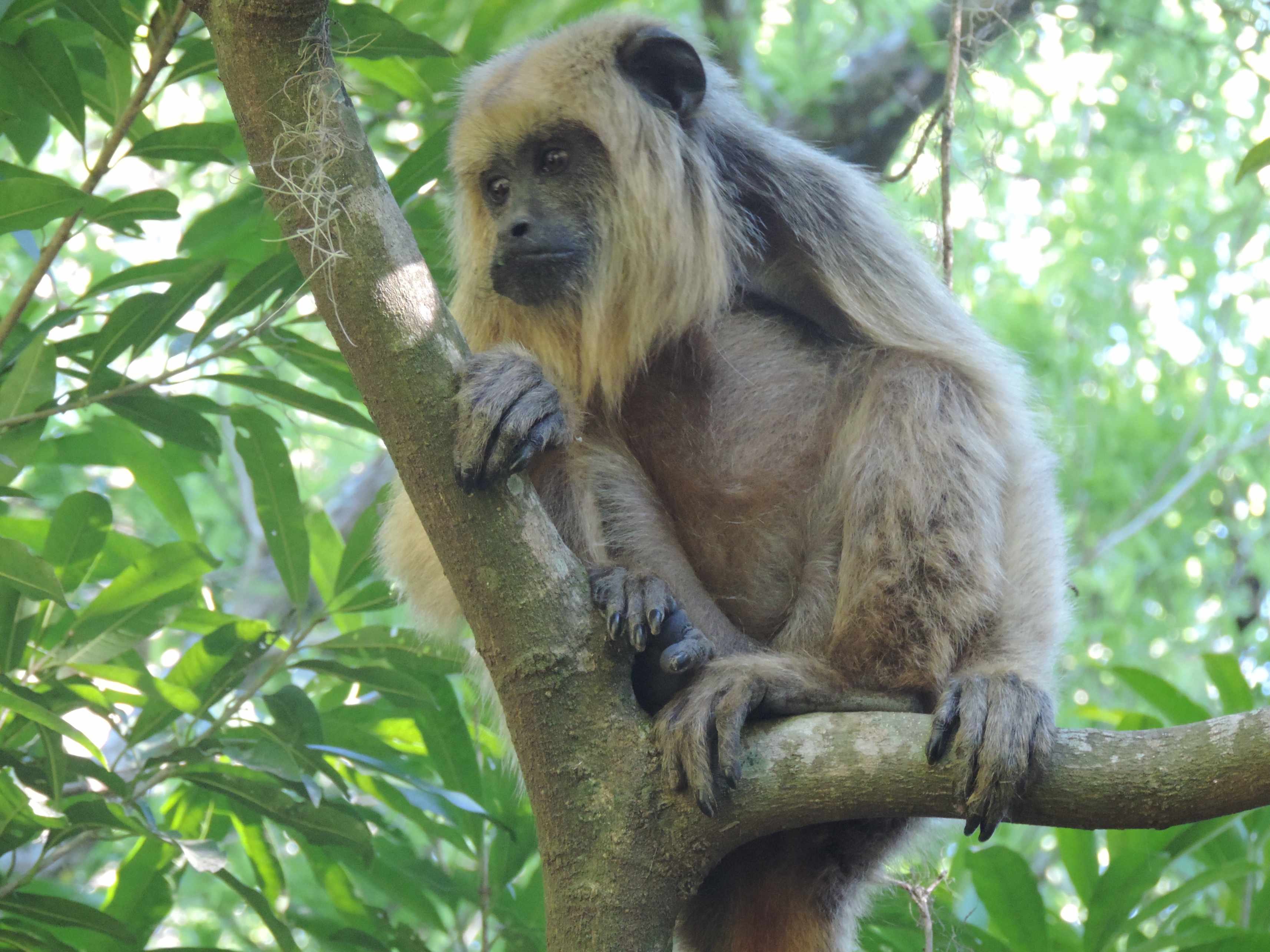 Rencontres et saveurs dans le nord de l'Argentine - Surucua Lodge - Réserve Yasí Yateré - Surucua Lodge - Réserve Yasí Yateré