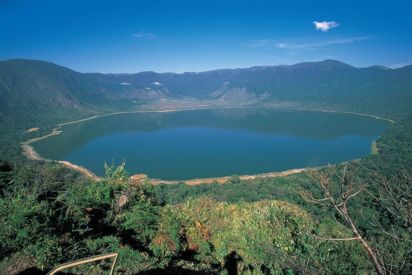 Safari de 10 jours en Tanzanie et à Zanzibar - Cratère du Ngorongoro - Parc national du Serengeti - Cratère du Ngorongoro - Parc national du Serengeti