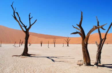 Namibie- désert de Namibe