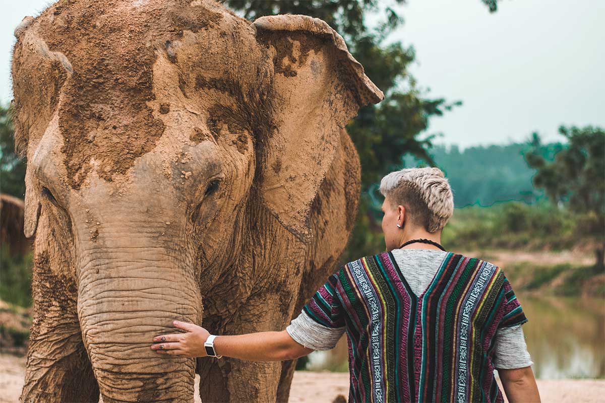 sanctuaire éléphant en thailande