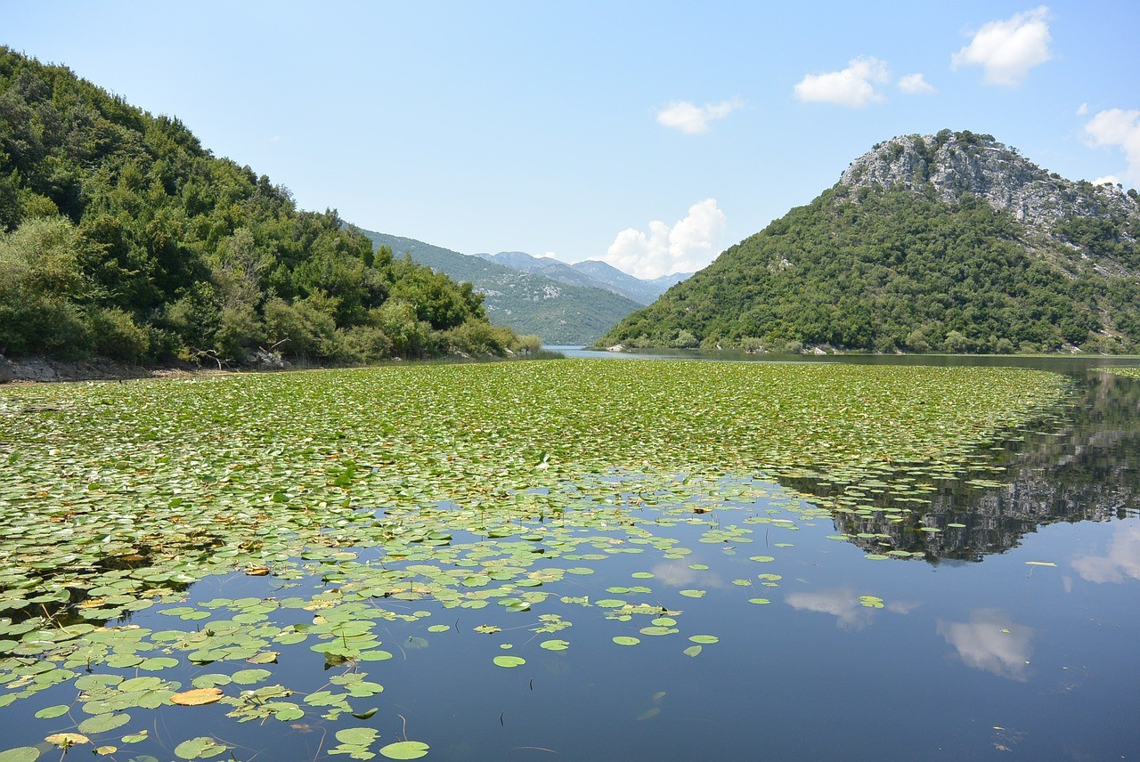 riviere Crnojevica Montengro