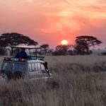 Comment organiser son safari dans les meilleures conditions ?