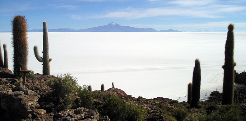 Isla del Pescado - voyage en Bolivie