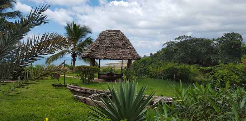 Cabane et jardin tropical sur la côte