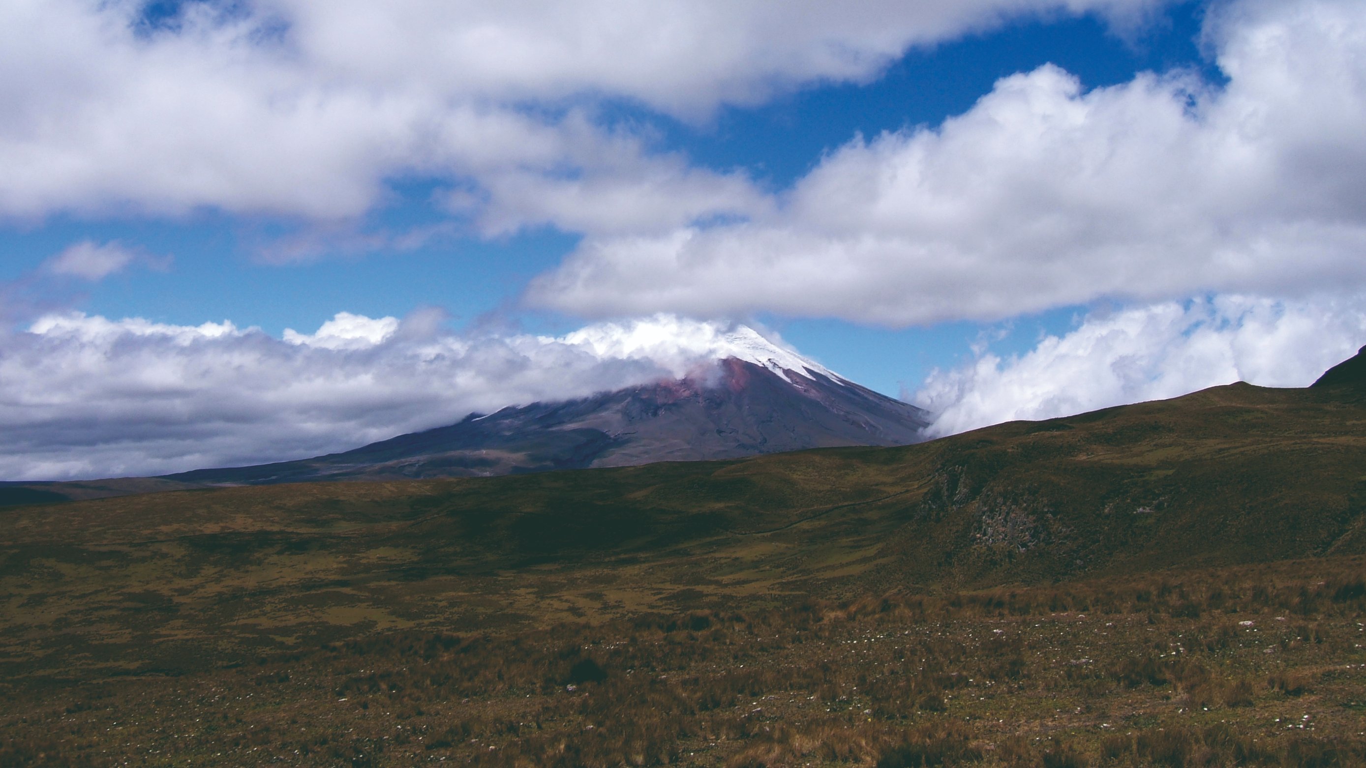 Paysage de paramó sur fond de volcan Cotopaxi.