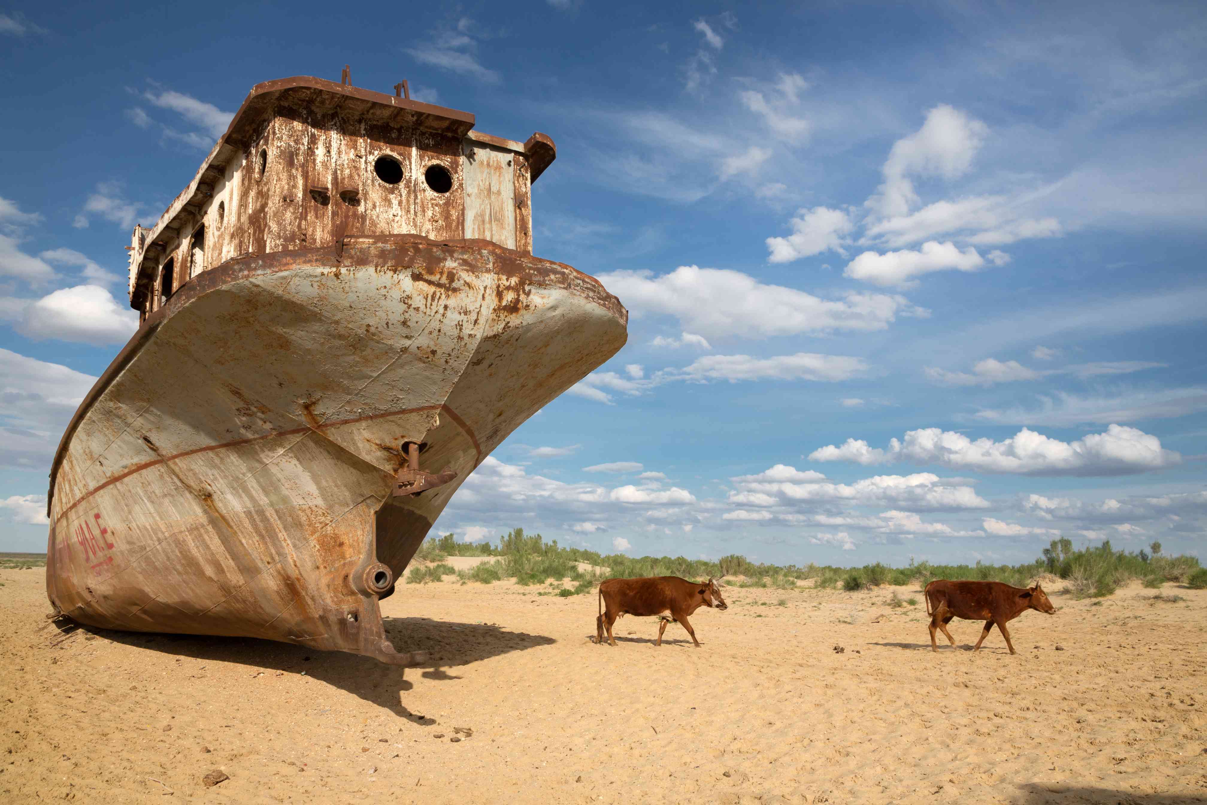 Bateaux abandonnes dans l ancien lit de la mer d Aral, Moynaq.