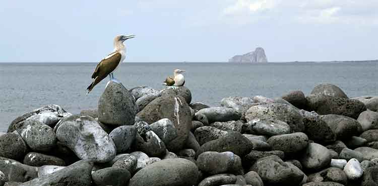 Vue sur l'île Bartolomé aux Galapagos