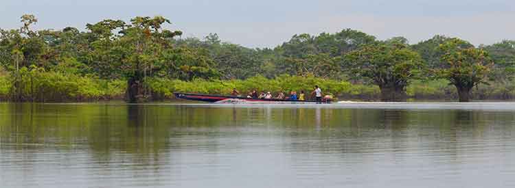 Une barque sur la rivière Cuyabeno