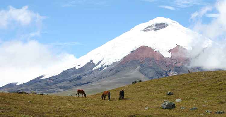 Vue panoramique sur le volcan Cotopaxi