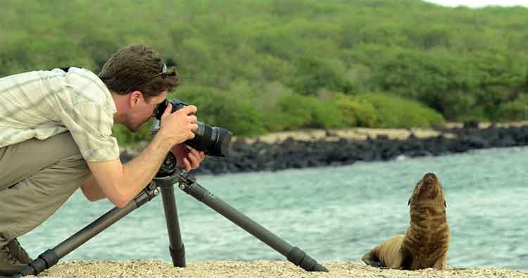 photographe et faune des galapagos