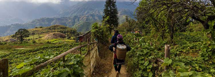 femmes ethnie sur les chemin dans les montagnes Sapa Vietnam
