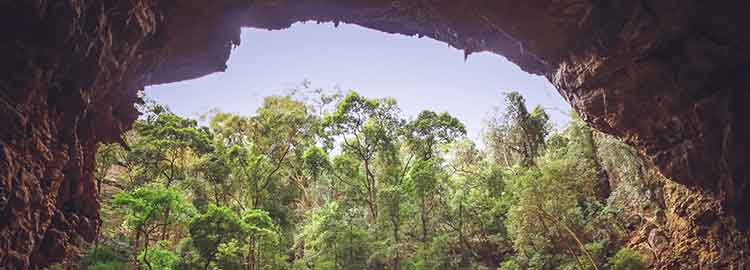 Vue d'une entrée de grotte à chauve souris dans le Parc National d'Ankarana