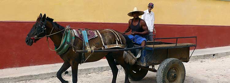 carriole à cheval dans les rues de Trinidad à Cuba