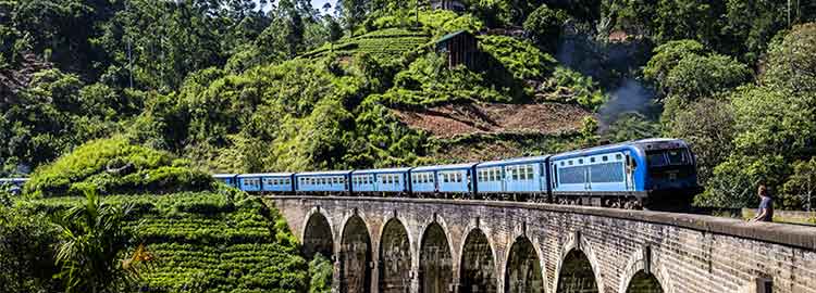 Un petit train bleu qui passe sur un pont à arche au milieu de la nature
