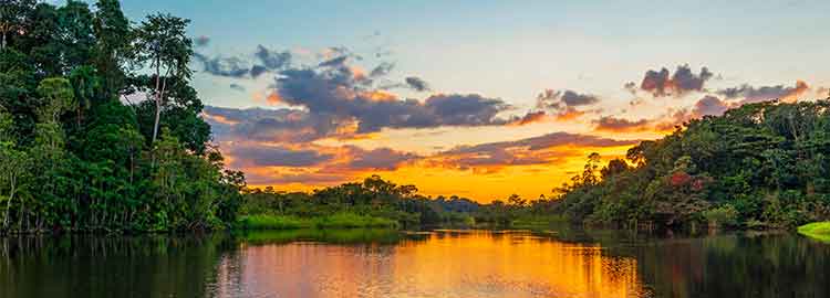 Vue du coucher de soleil sur la forêt amazonienne