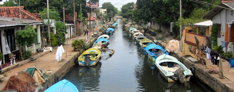 Le canal Hamilton à Negombo