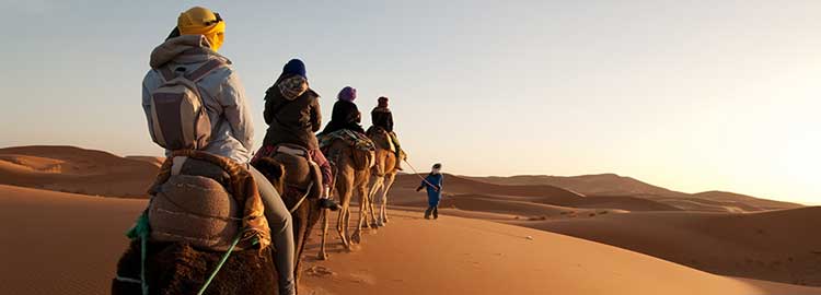 Des touristes à dos de chameaux dans le désert du Sahara