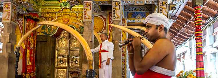 Un joueur de cor dans le temple de la Dent
