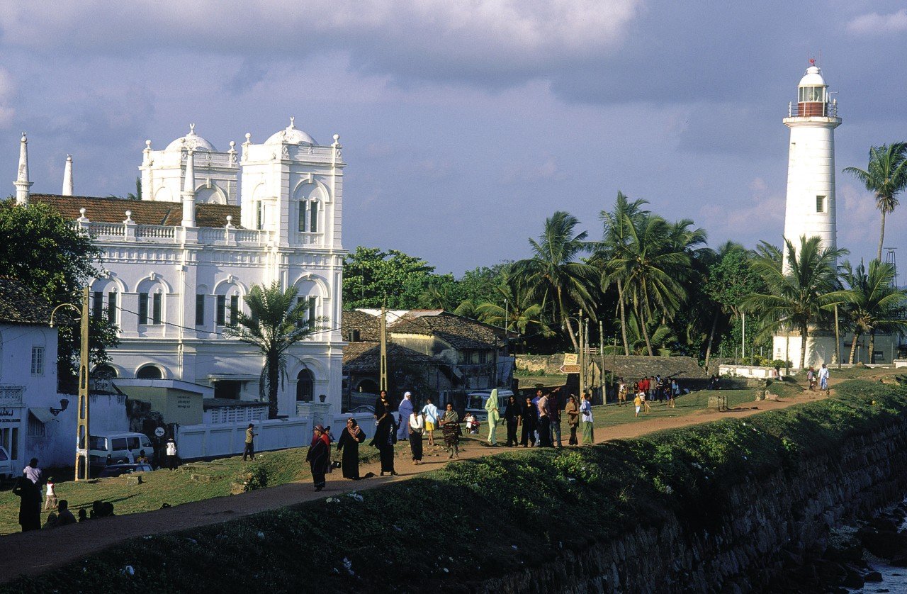 Tag20 : Galle