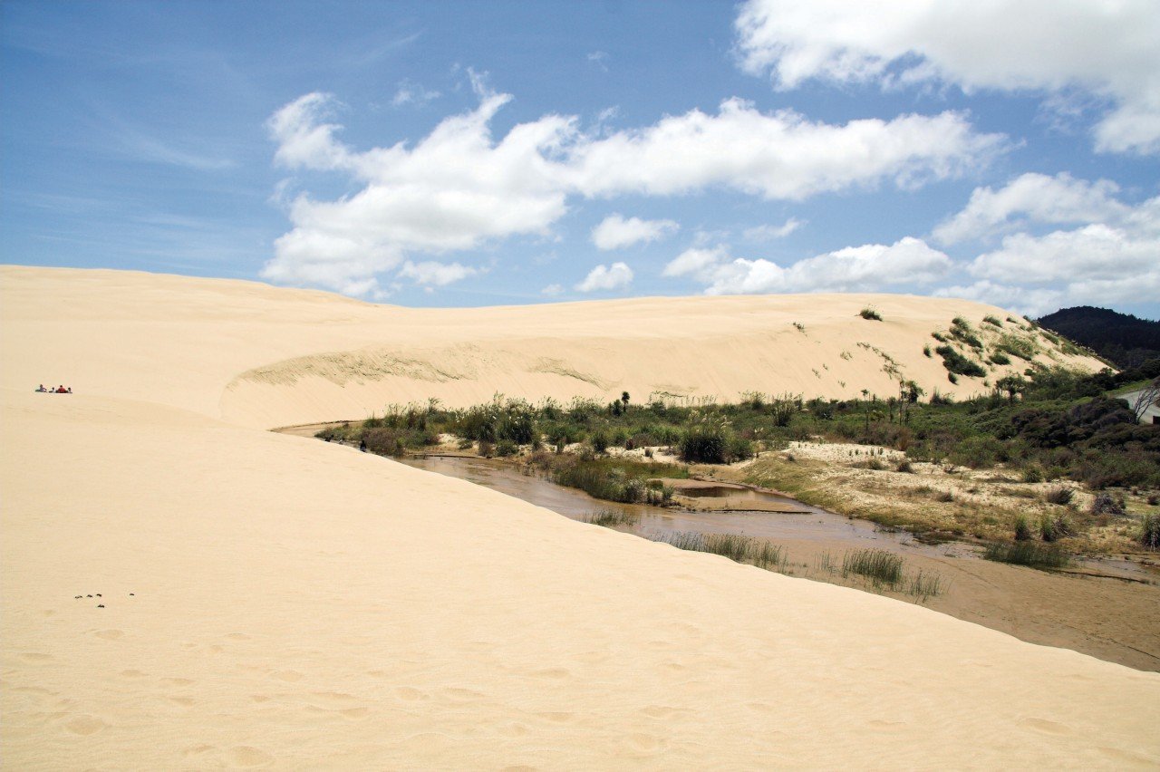 Te Paki Giant Sand Dunes.