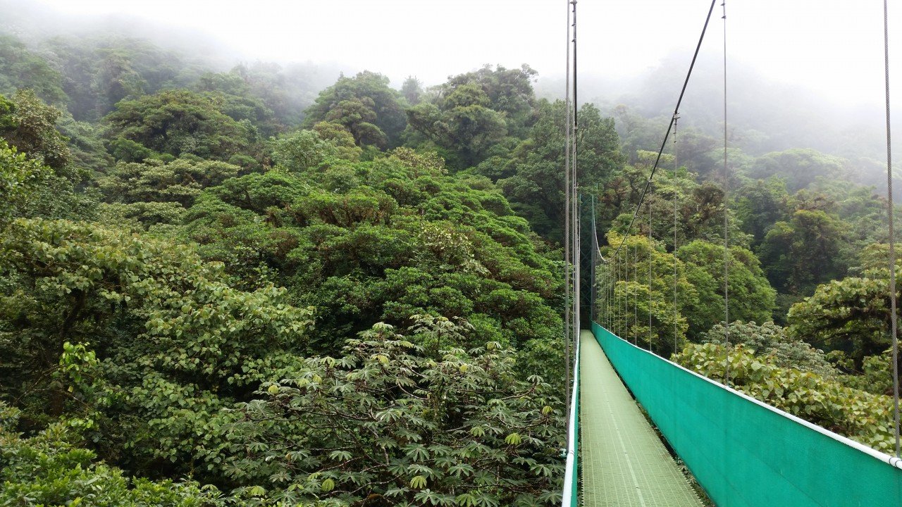 Jour8 : Réserve de Monteverde
