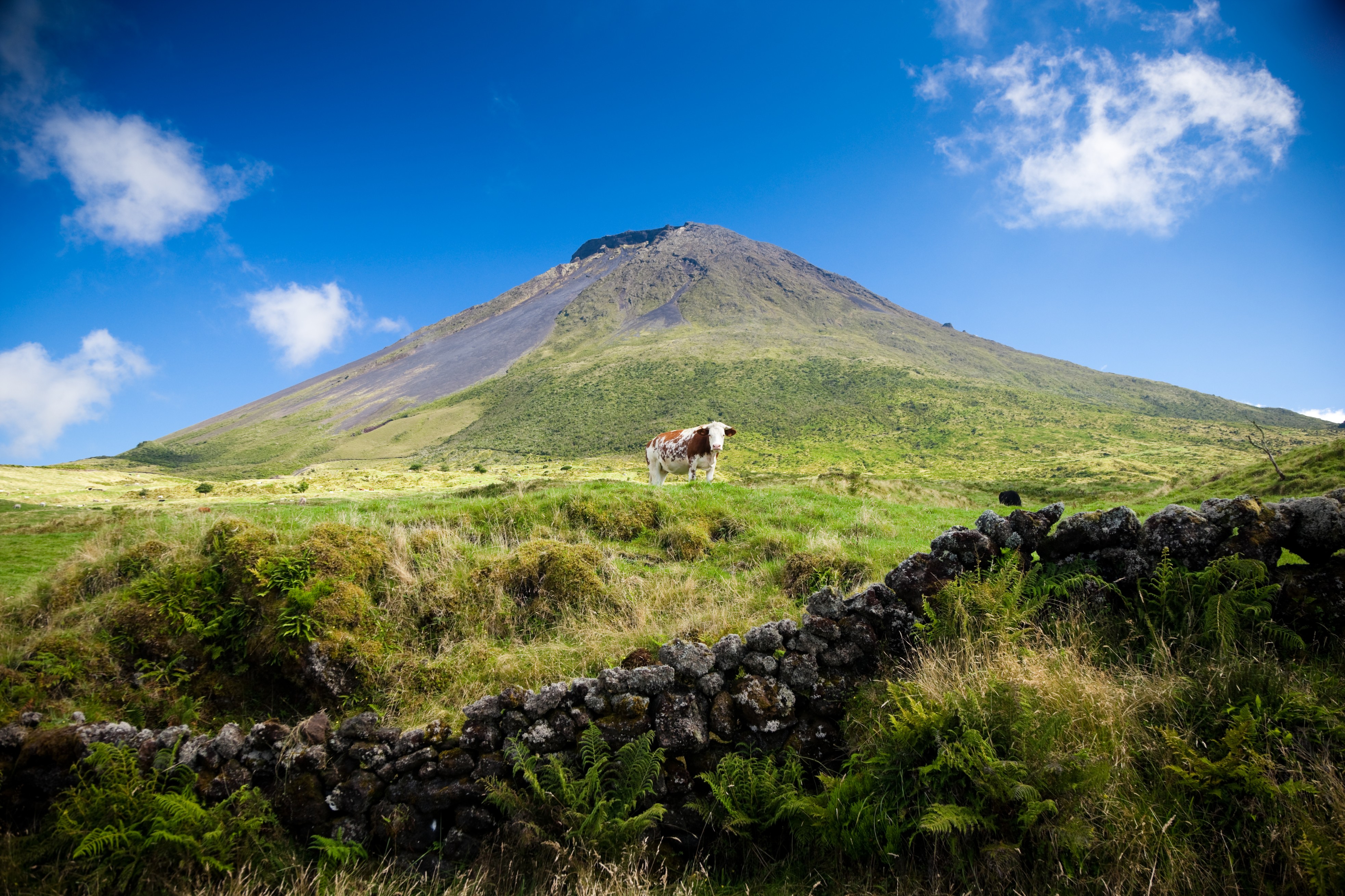 Mont Pico, Stratovolcan, Açores.