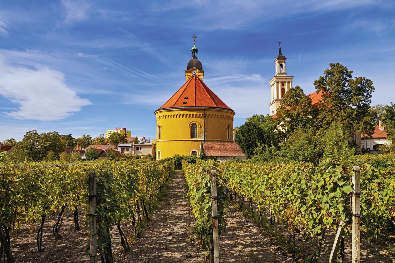 Dag3 : Wijnroute en omgeving van Bratislava