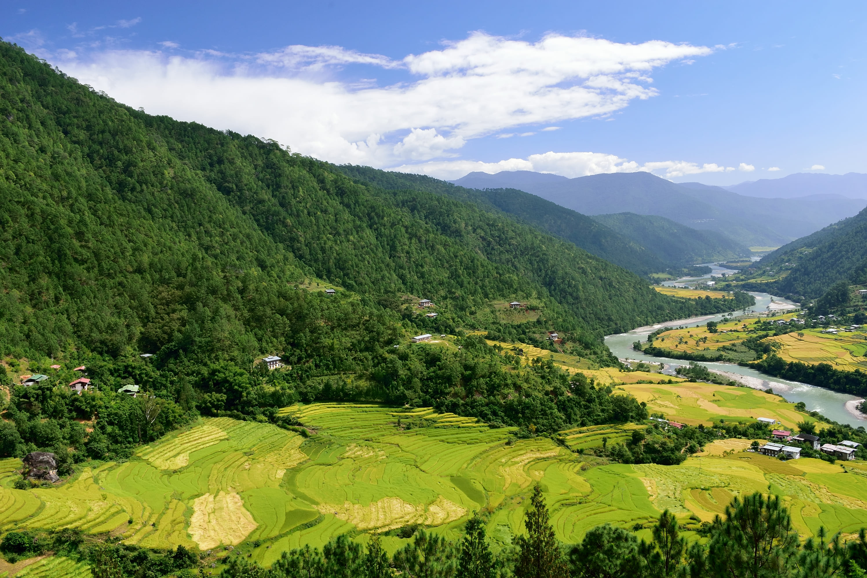 Paysage de la vallee de Punakha.