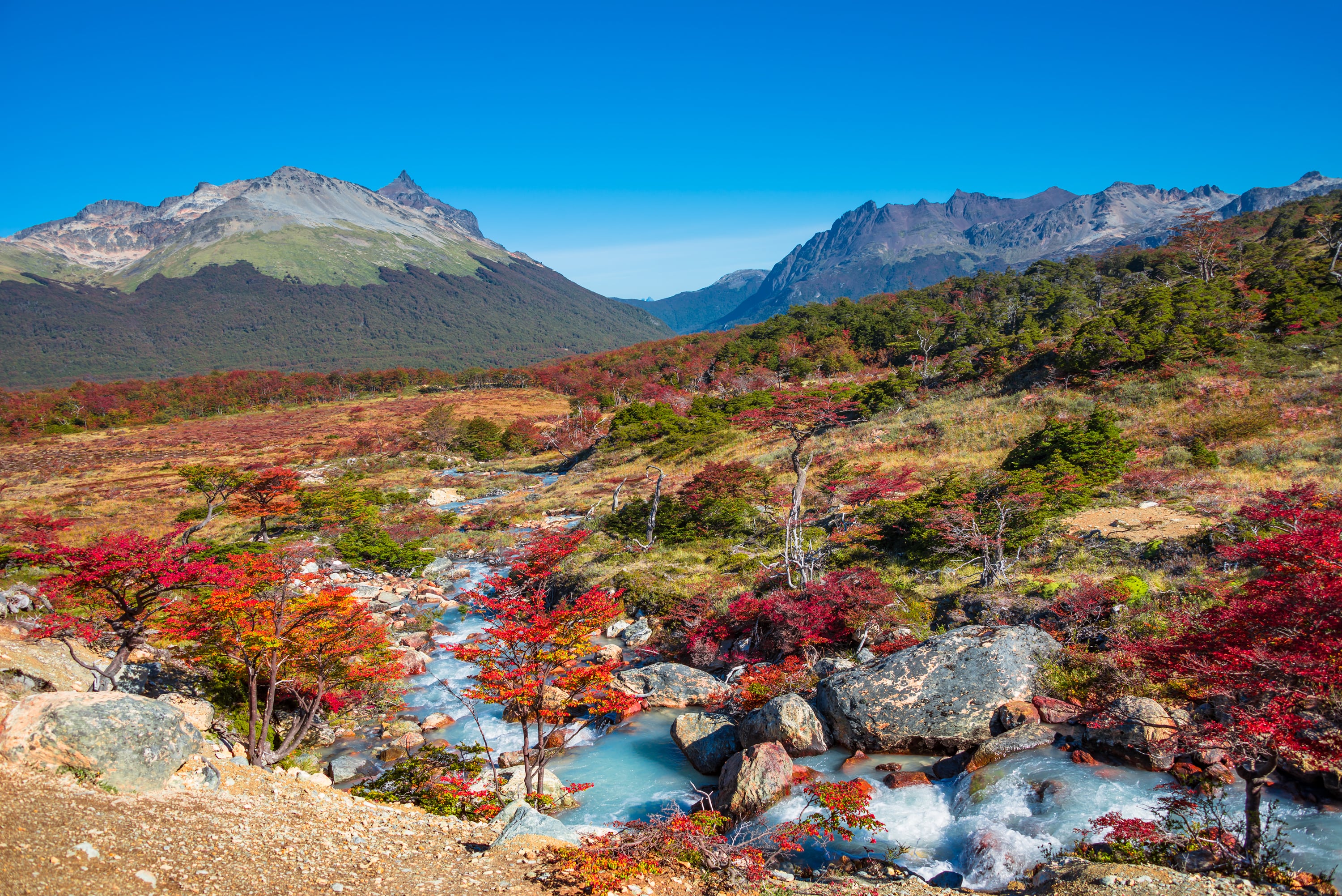 Parc National Tierra del Fuego de Patagonie.
