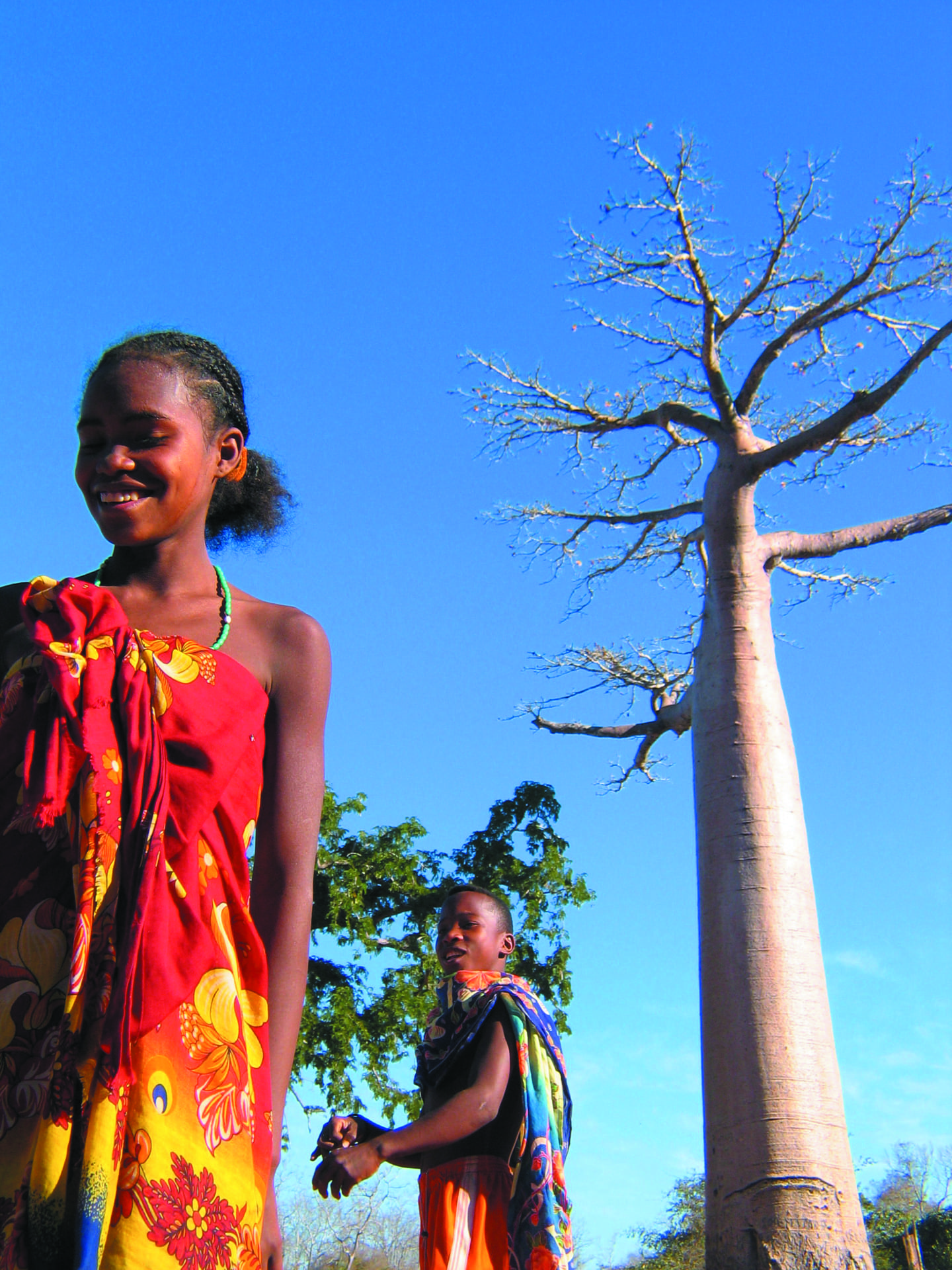 Deux beautes de Madagascar les femmes et les baobabs !