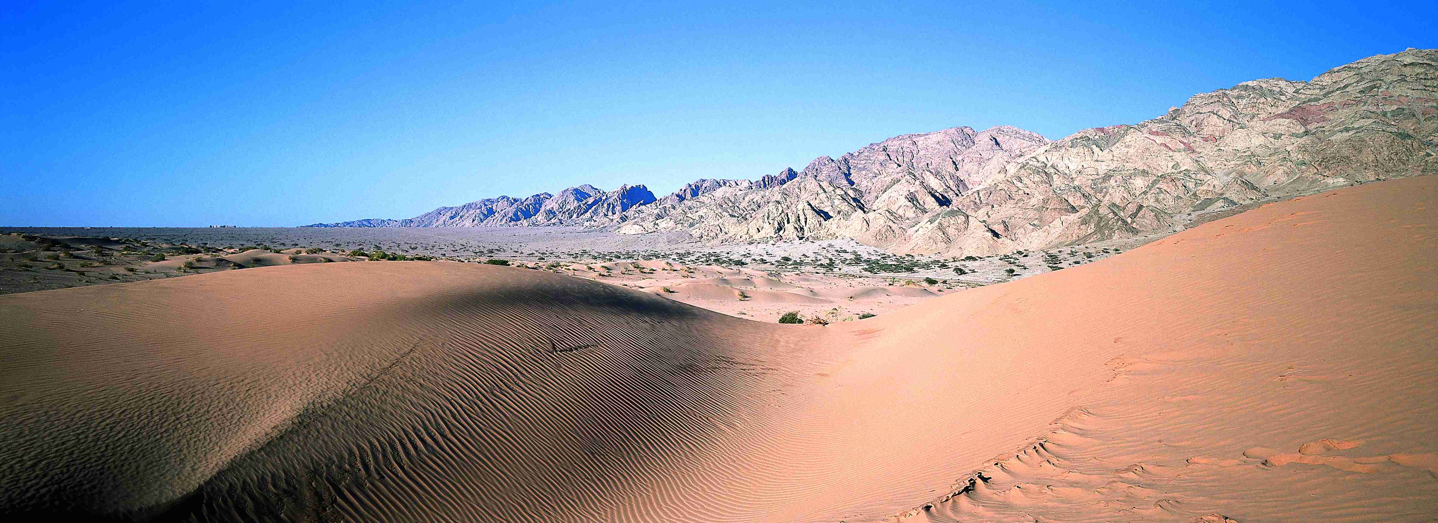 Plaines désertiques du Wadi Araba.
