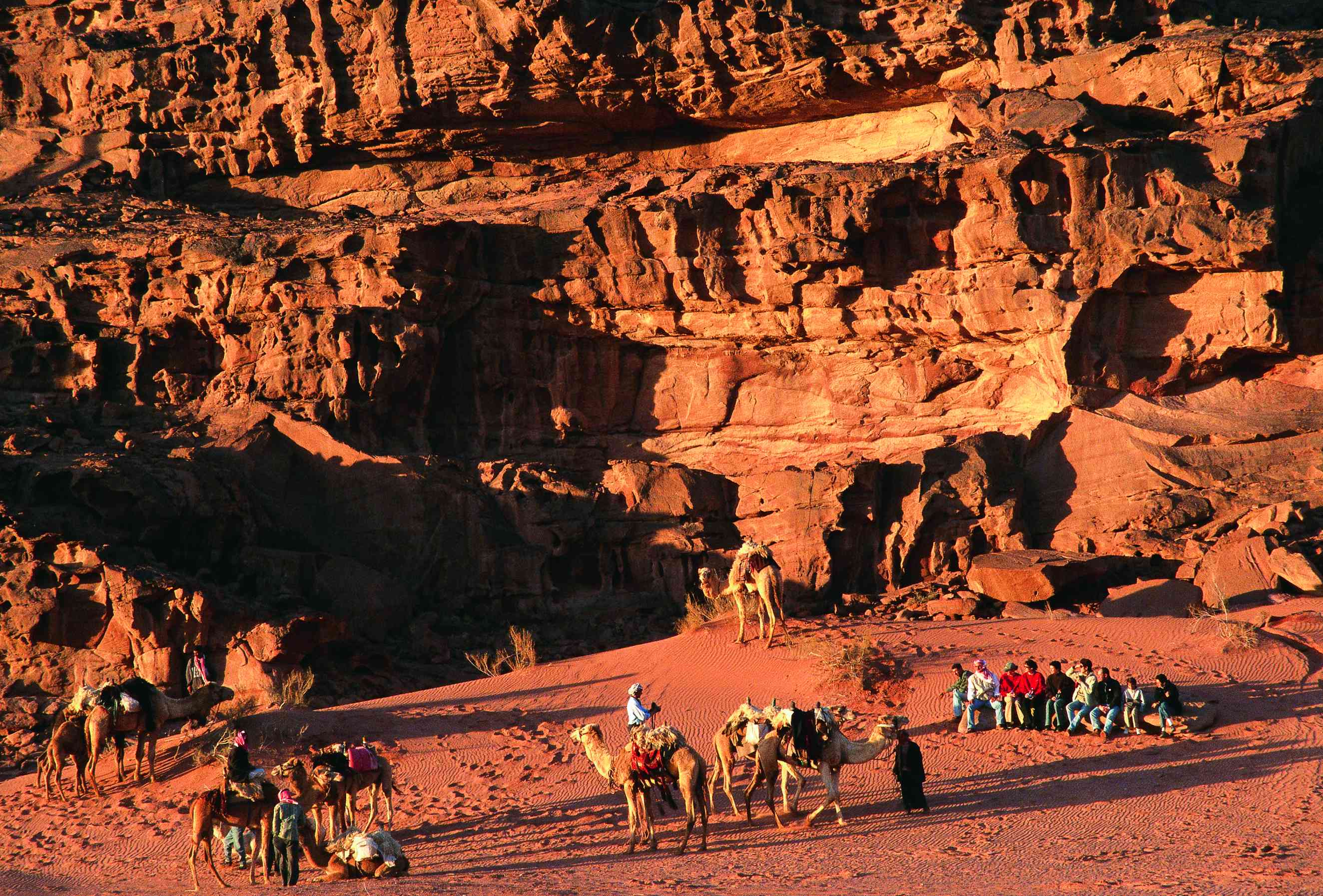 Excursion en chameau dans le Wadi Rum.