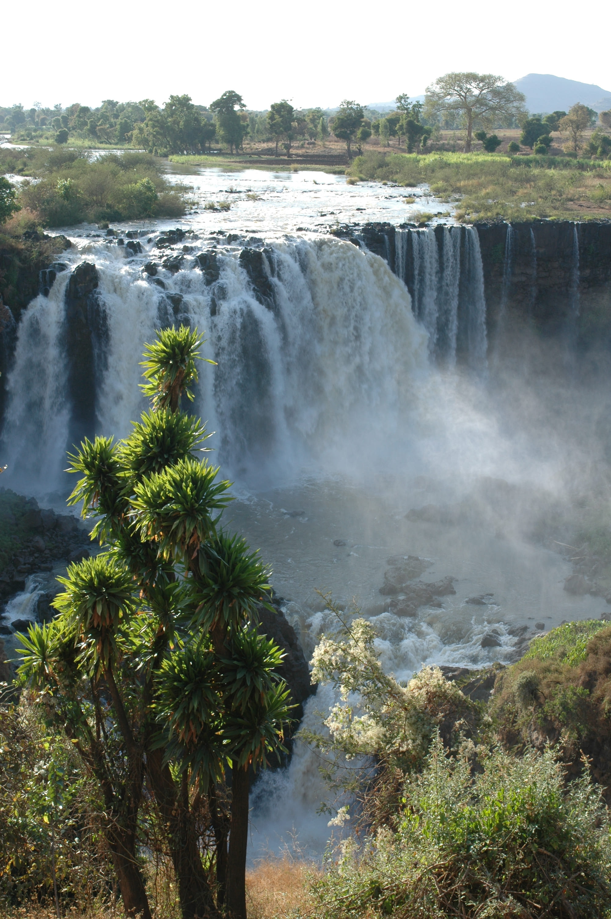 Les chutes du Nil Bleu, dans le nord de l Ethiopie.