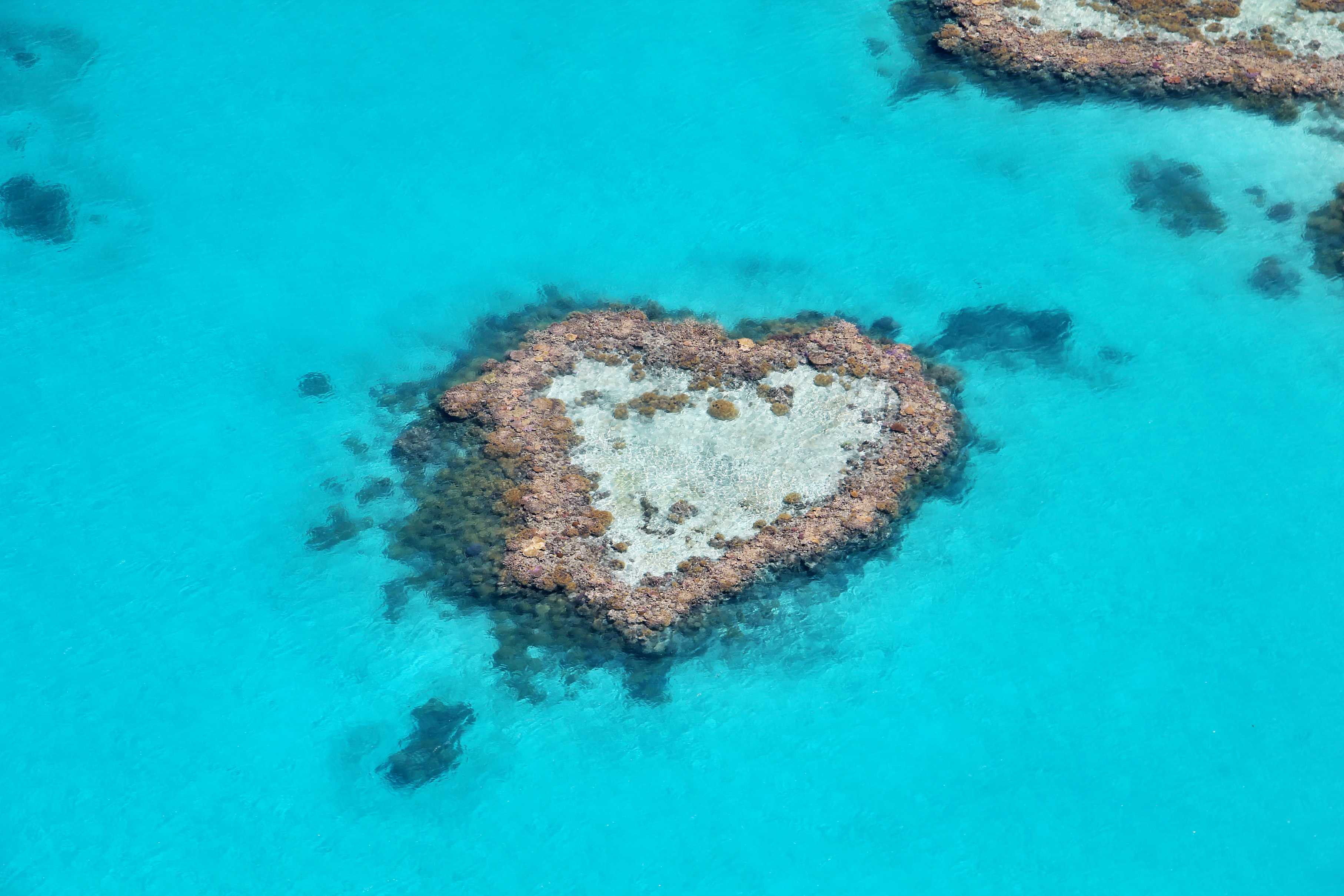 Récif en forme de cœur sur la grande barrière de corail.