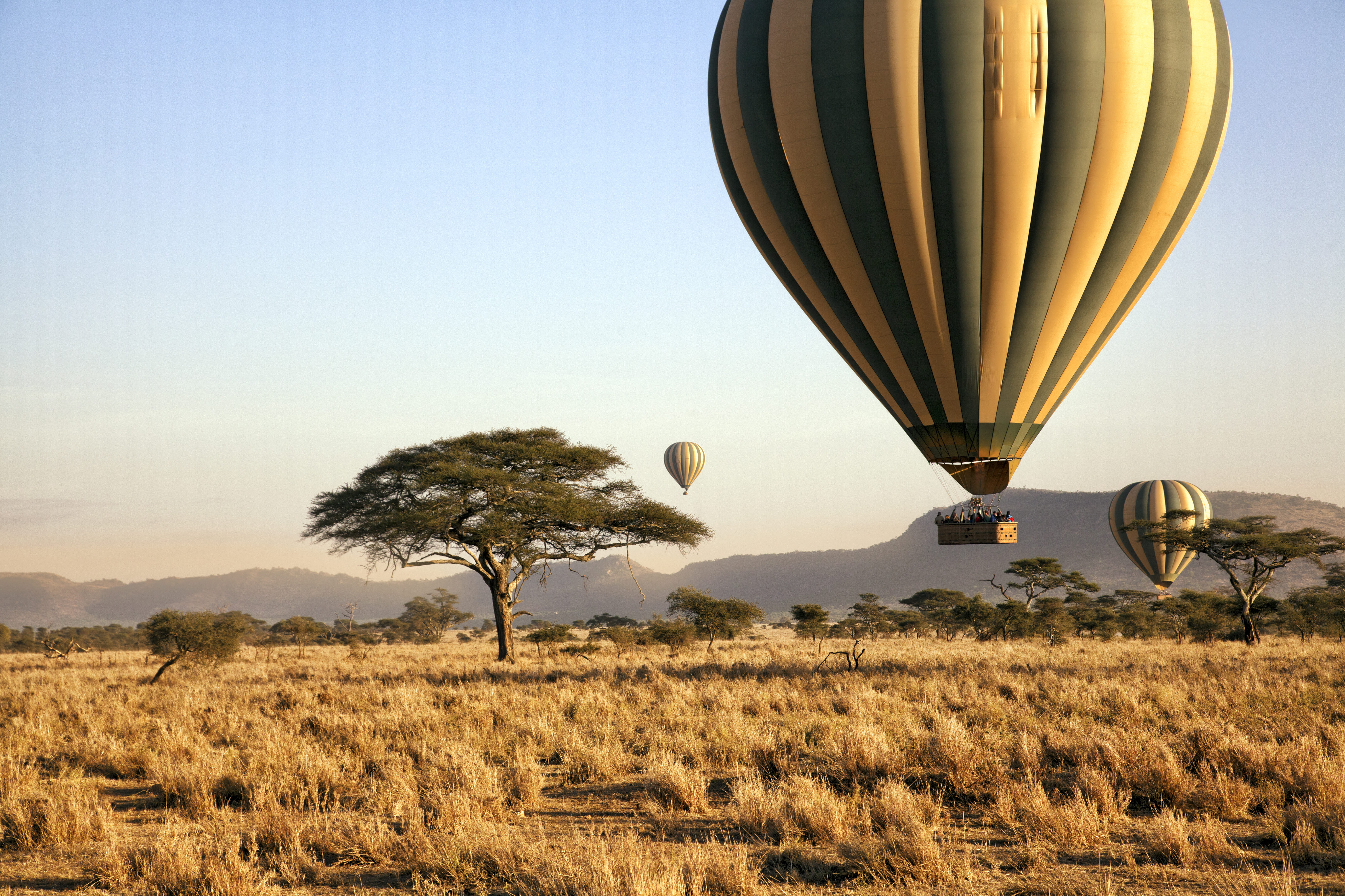 Tour en montgolfière au-dessus du parc national de Serengeti.
