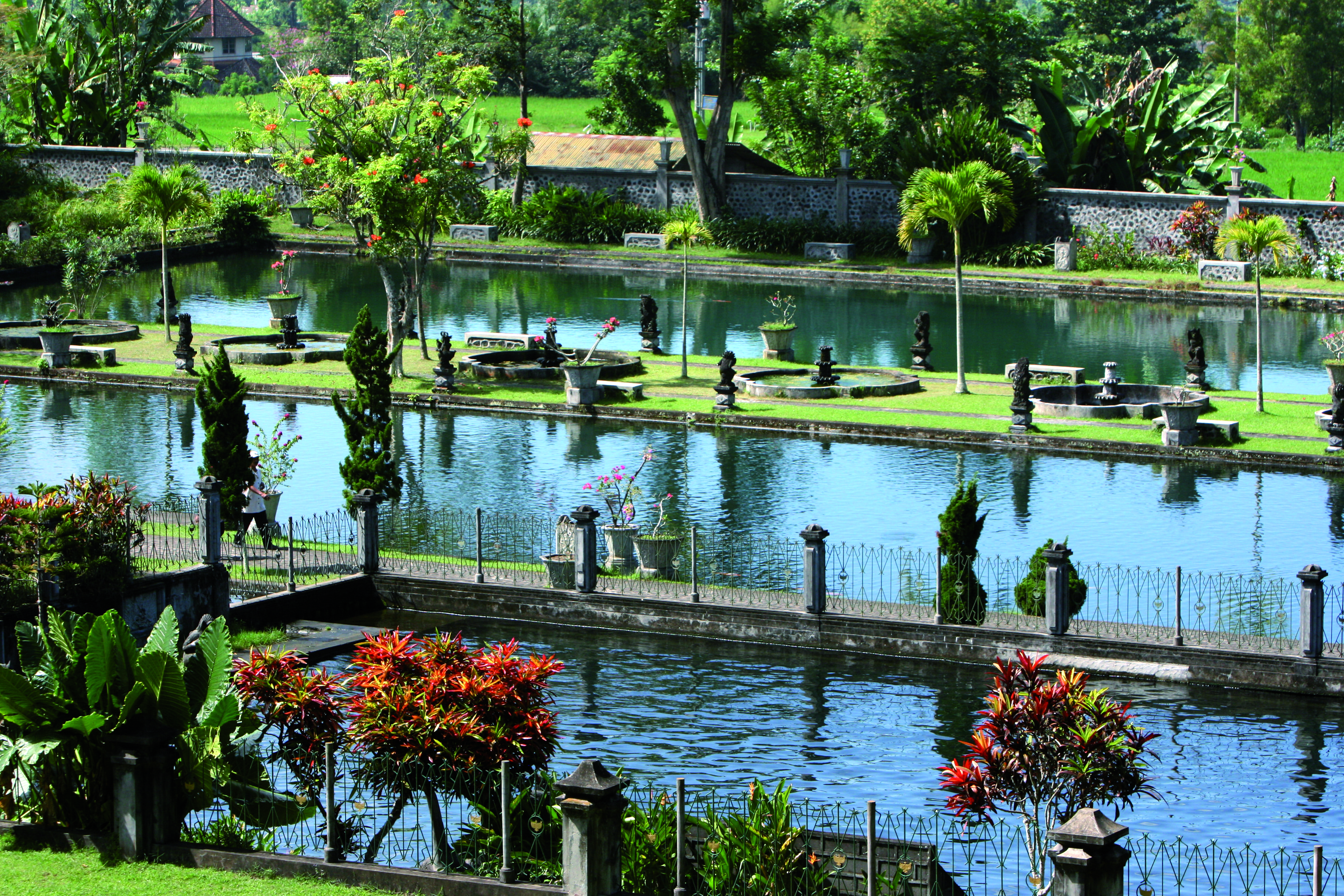 Jardin aquatique du Water Palace à Tirtagangga.