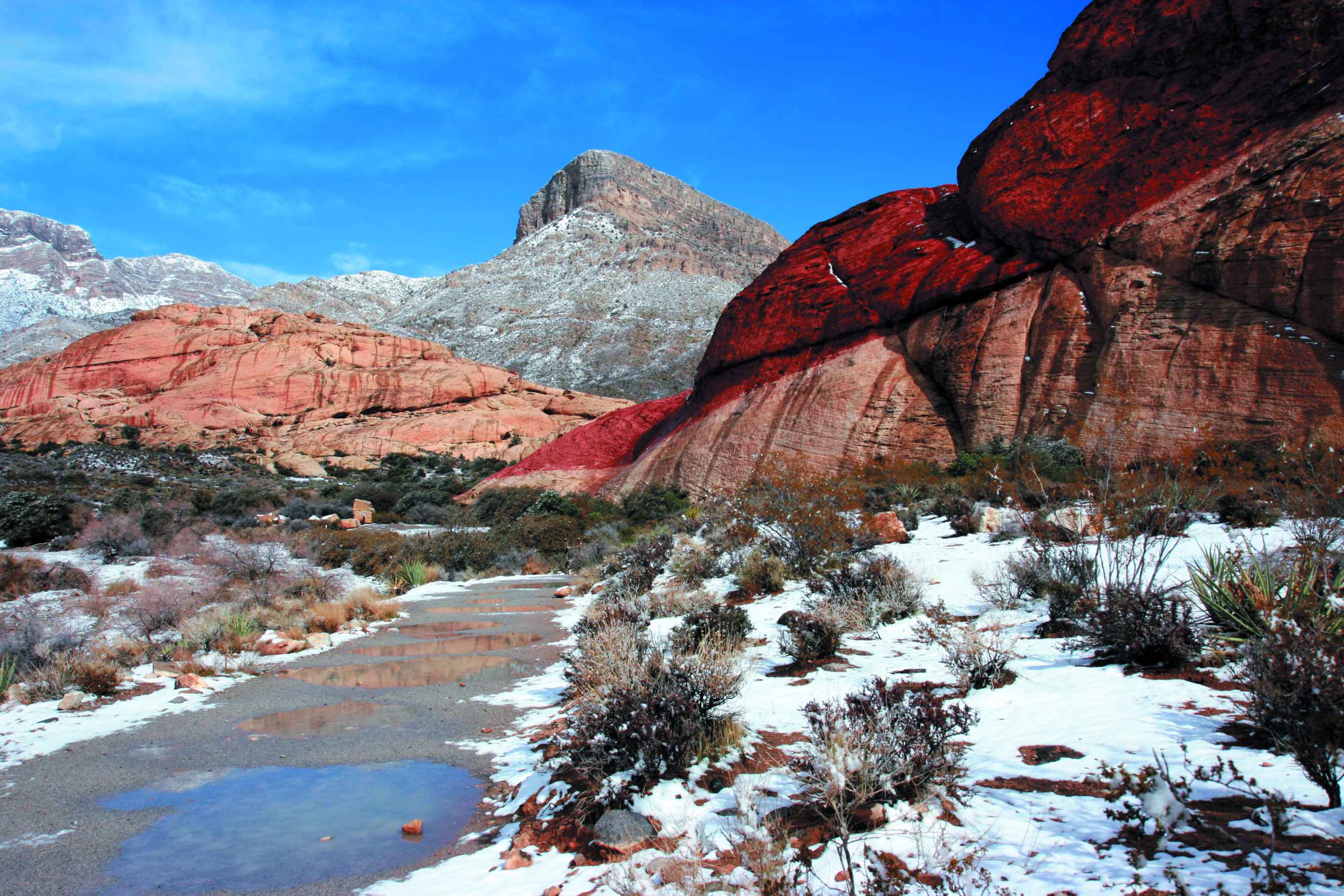 La neige s'invite dans le désert Mojave et son Red Rock Canyon.