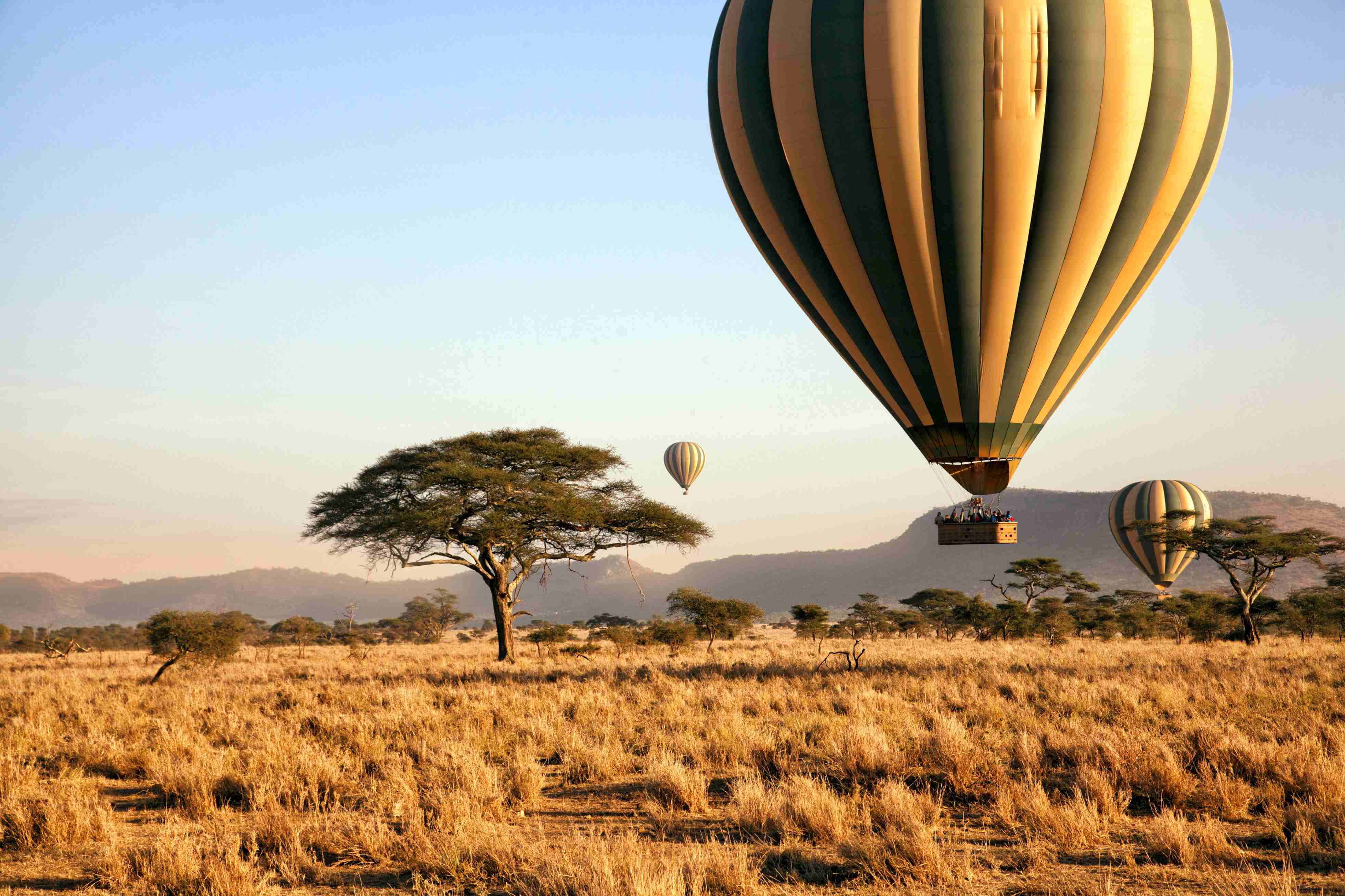 Tour en montgolfière au-dessus du parc national de Serengeti.