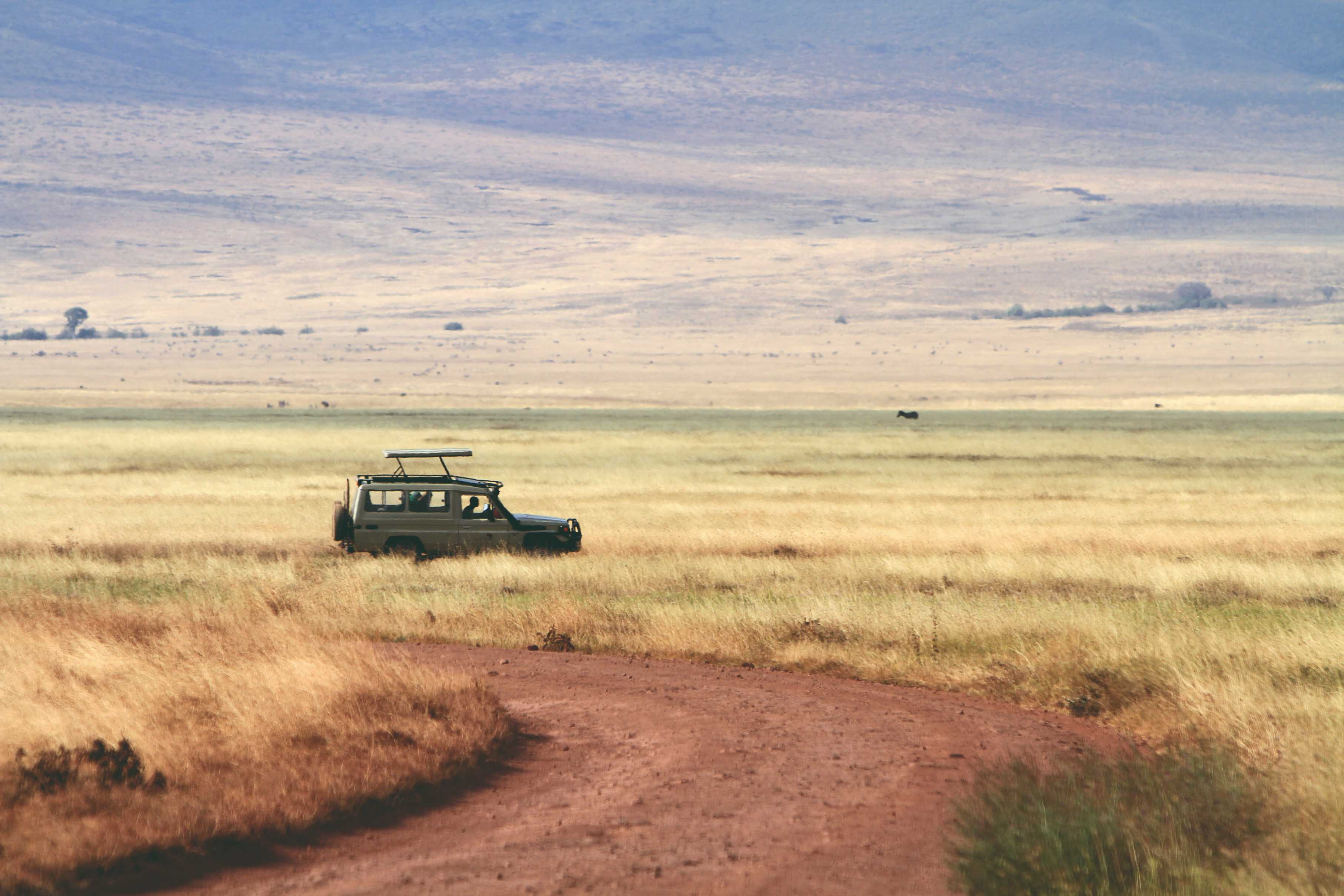 Safari dans l'aire de conservation du Ngorongoro