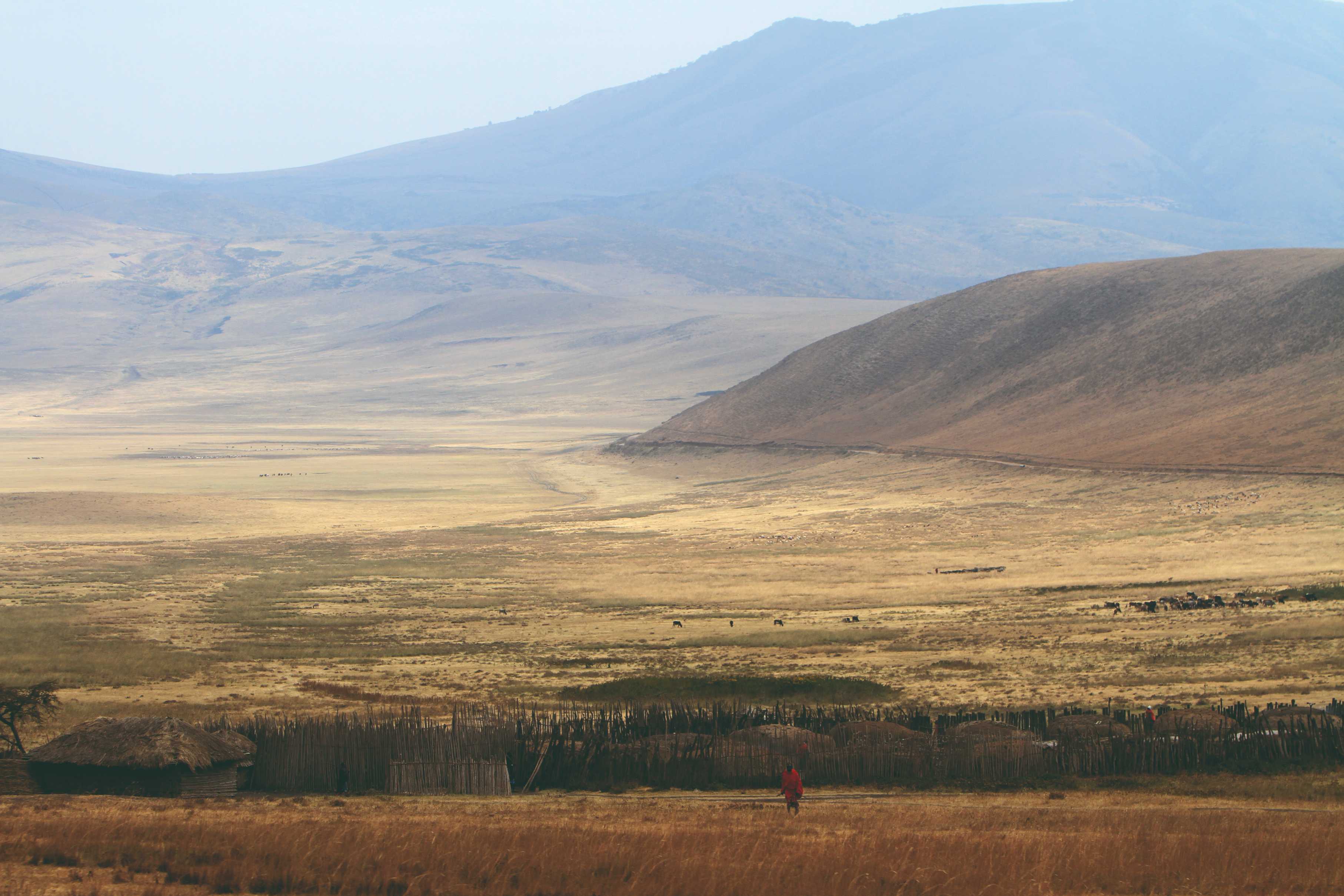 Paysage de l'aire de conservation du Ngorongoro