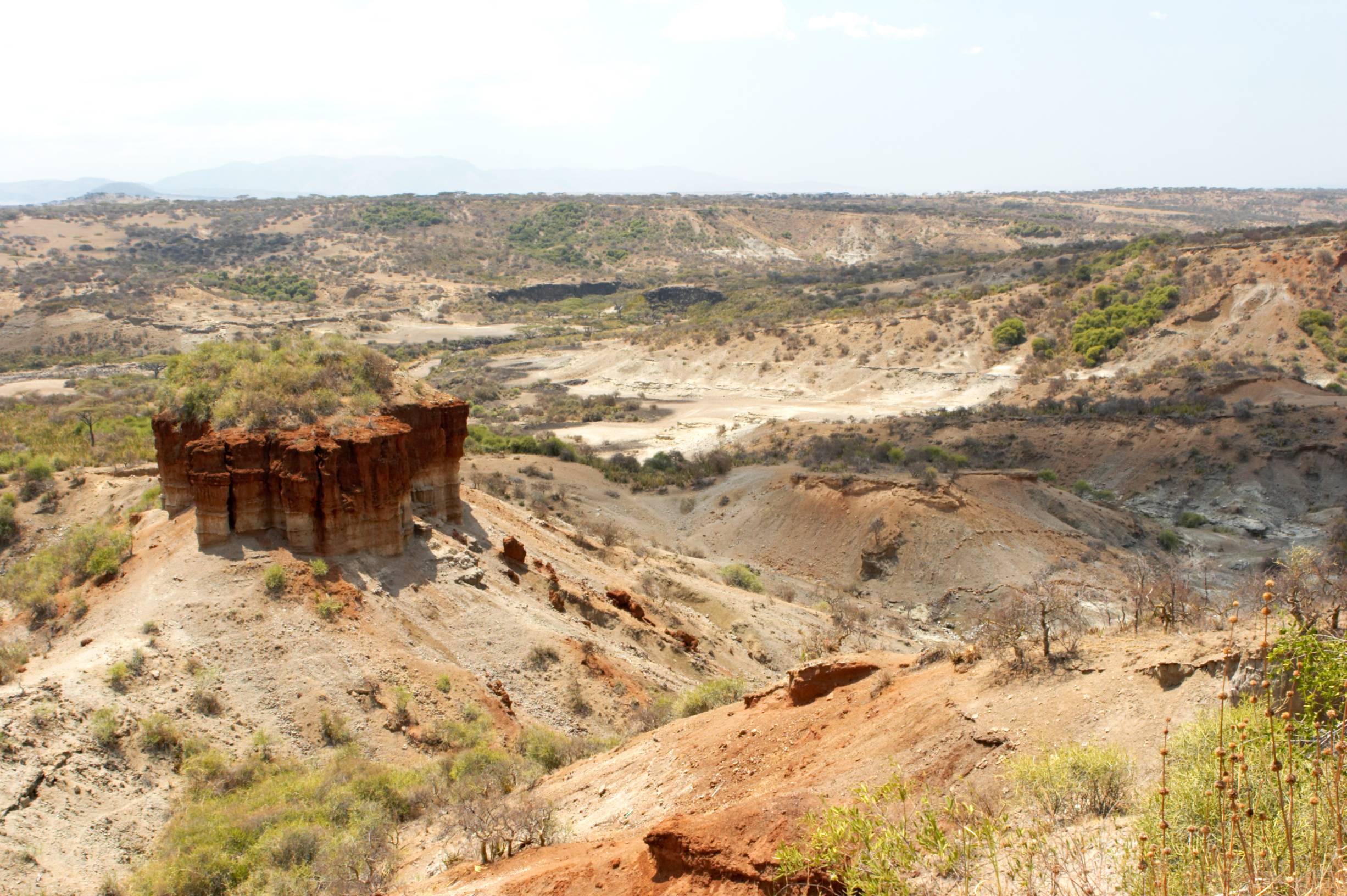 Les Gorges d'Olduvai.