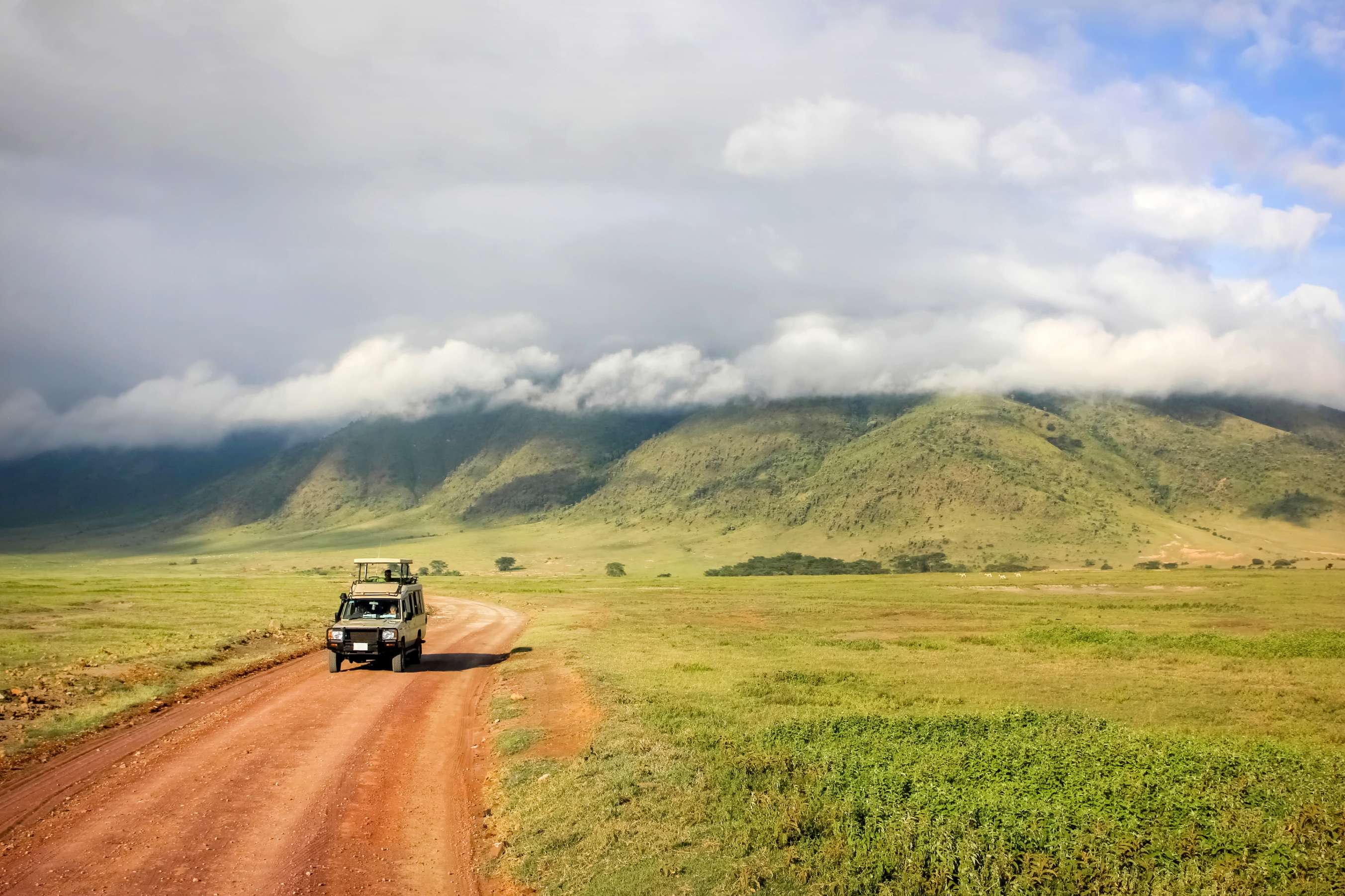 Safari dans le cratère Ngorongoro.