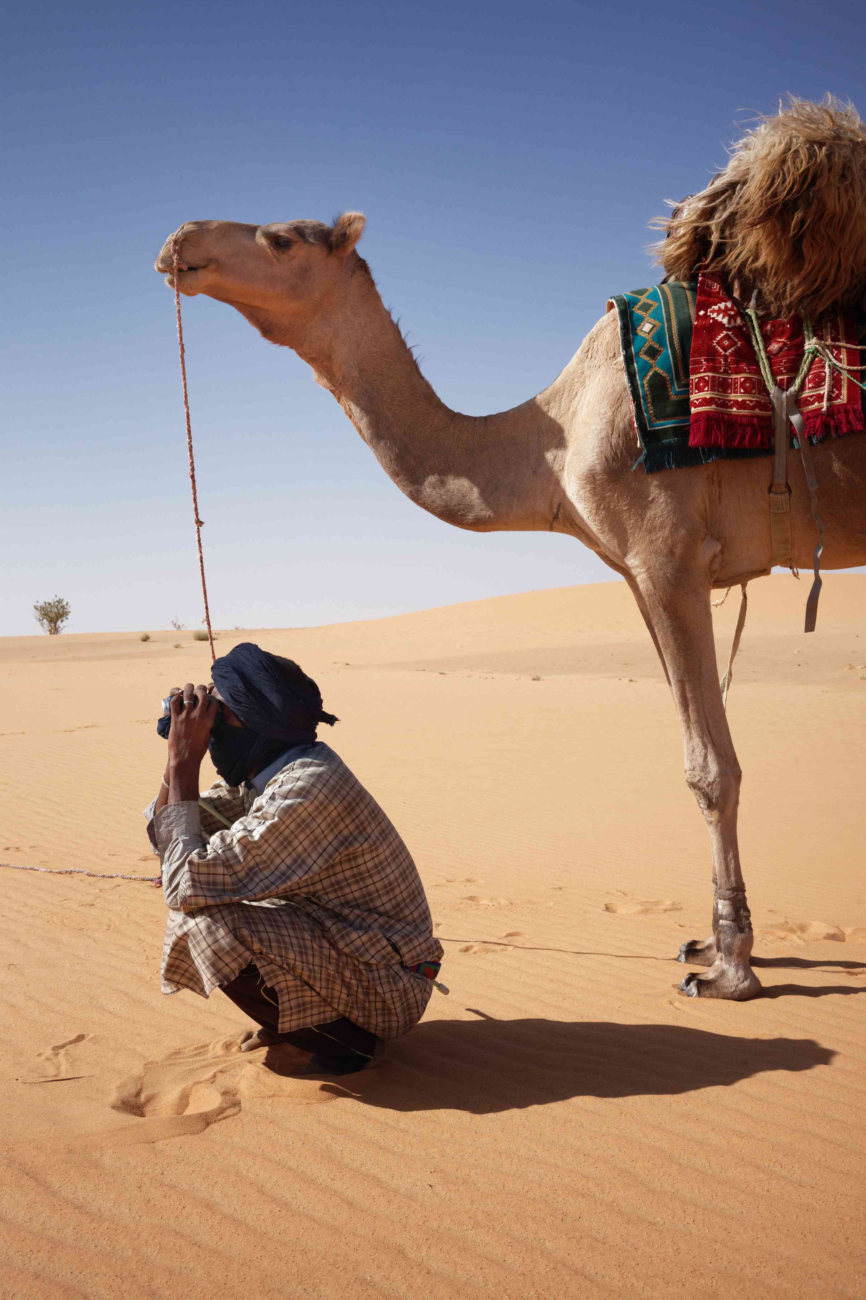 Caravane dans le désert du Sahara
