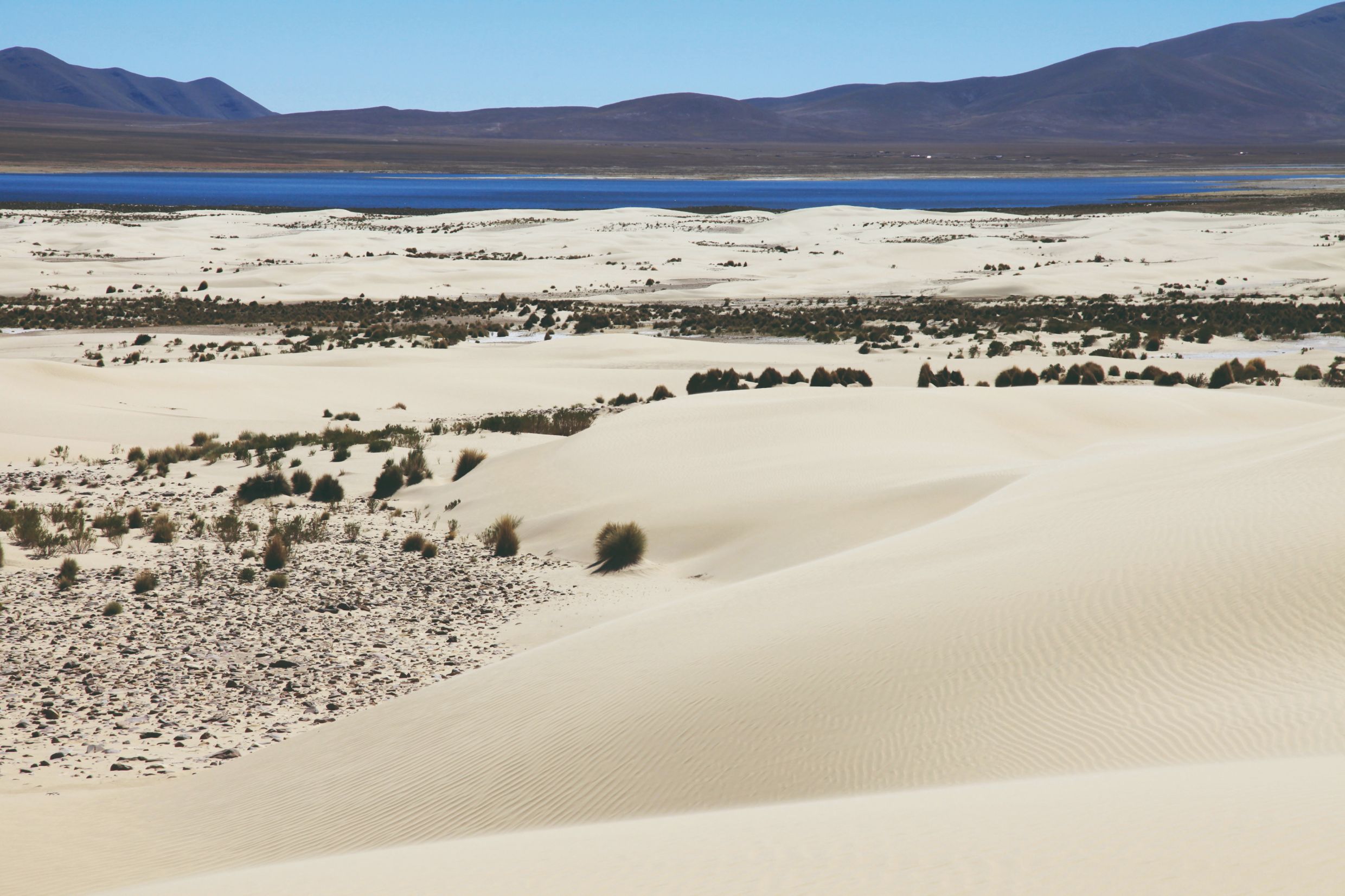 Les dunes de Tajzara dans la cordillère de Sama, un enchantement inattendu.